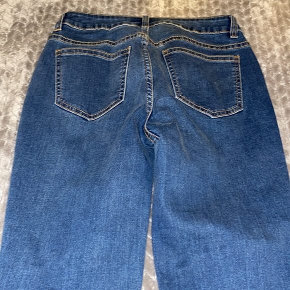 Boston Proper Embroidered Jeans. Size 0. - Picture 11 of 14